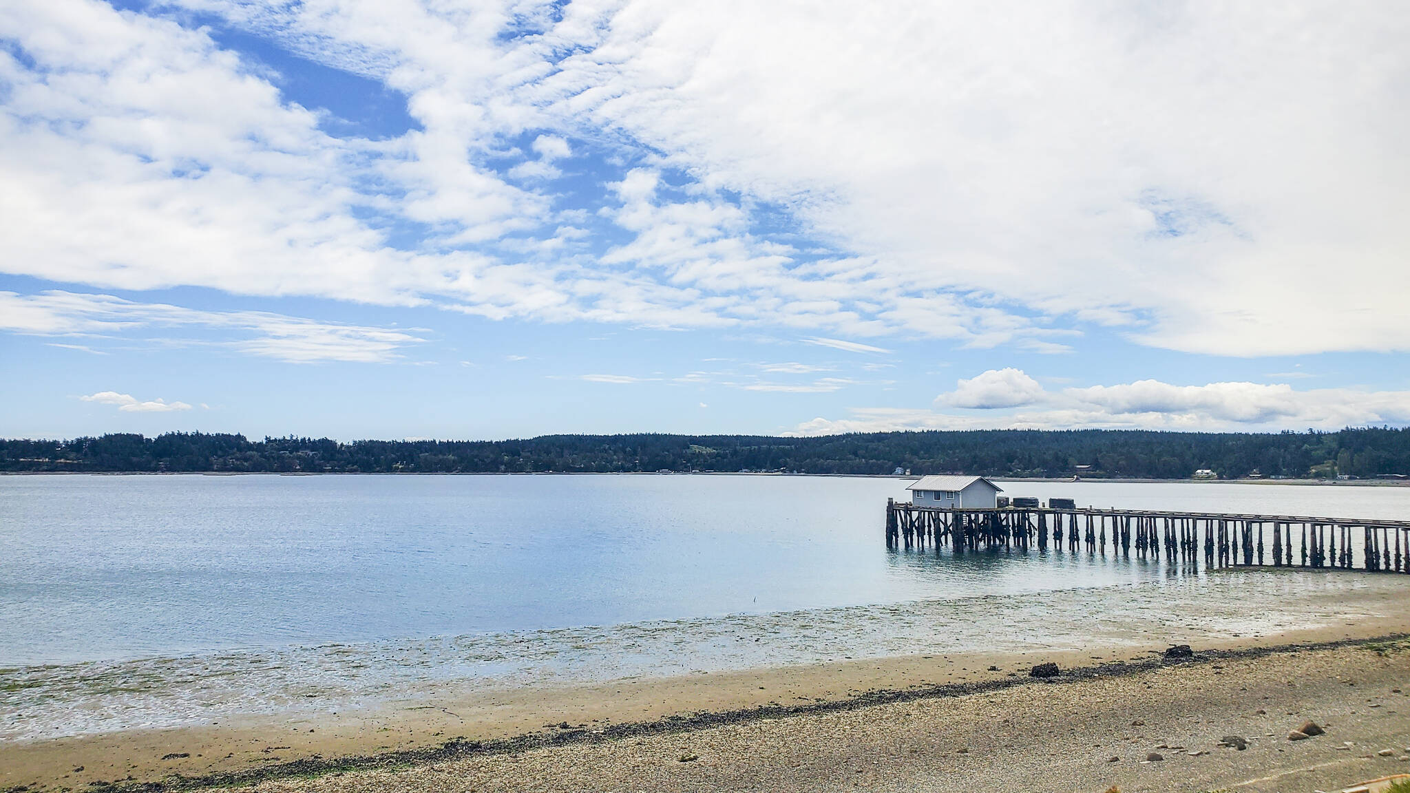 Penn Cove. (Photo by Luisa Loi)