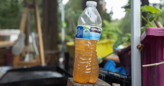 A water bottle full of tap water from the Valley High Park water supply, July 30. (Photo by Caitlyn Anderson)