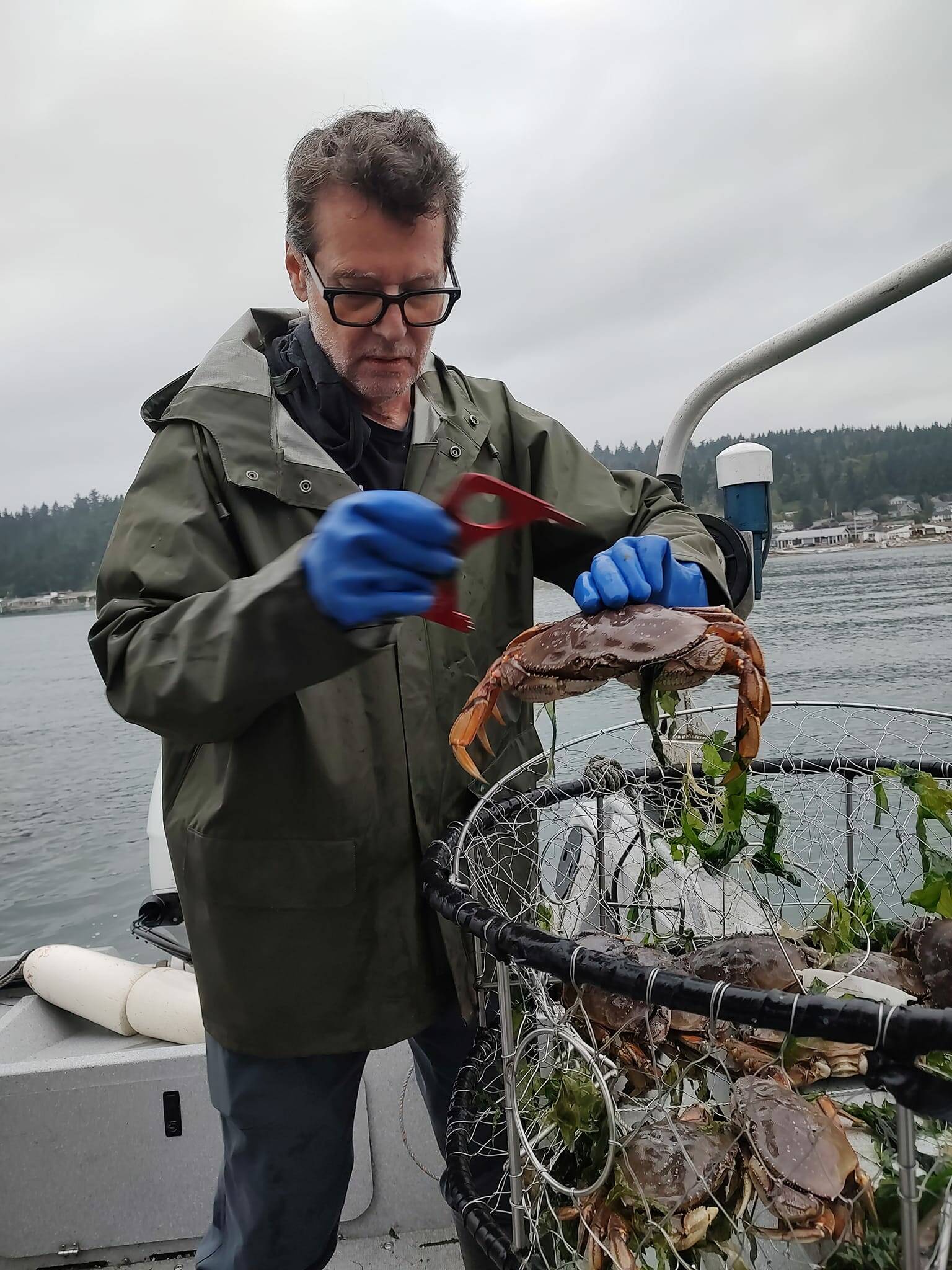 Photo provided
Whidbey Island Provisions co-creator Jean-Michel Pin crabs off Whidbey Island.