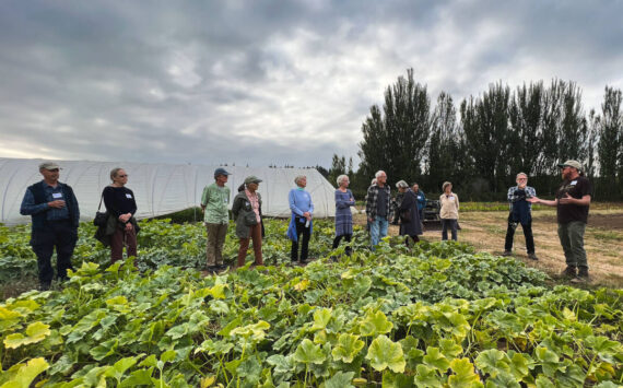 The Farm & Food Trail serves as a comprehensive directory that divides Island County into four distinct regions – North, Central, South Whidbey and Camano.