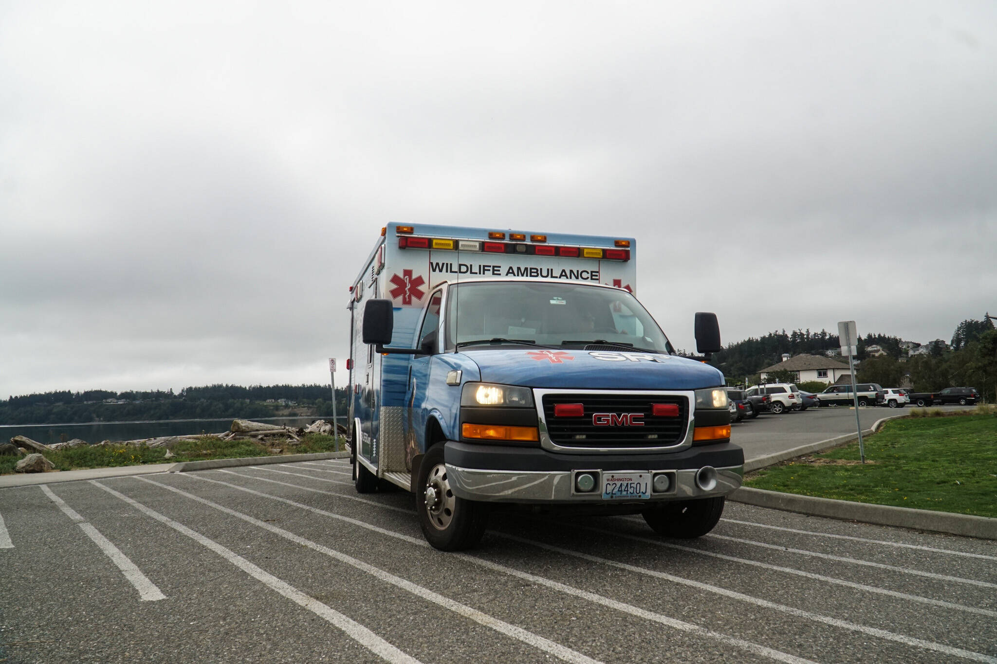 The SR3 ambulance pulled into Windjammer Park to release rehabilitated seals Monday morning. (Photo by Sam Fletcher)