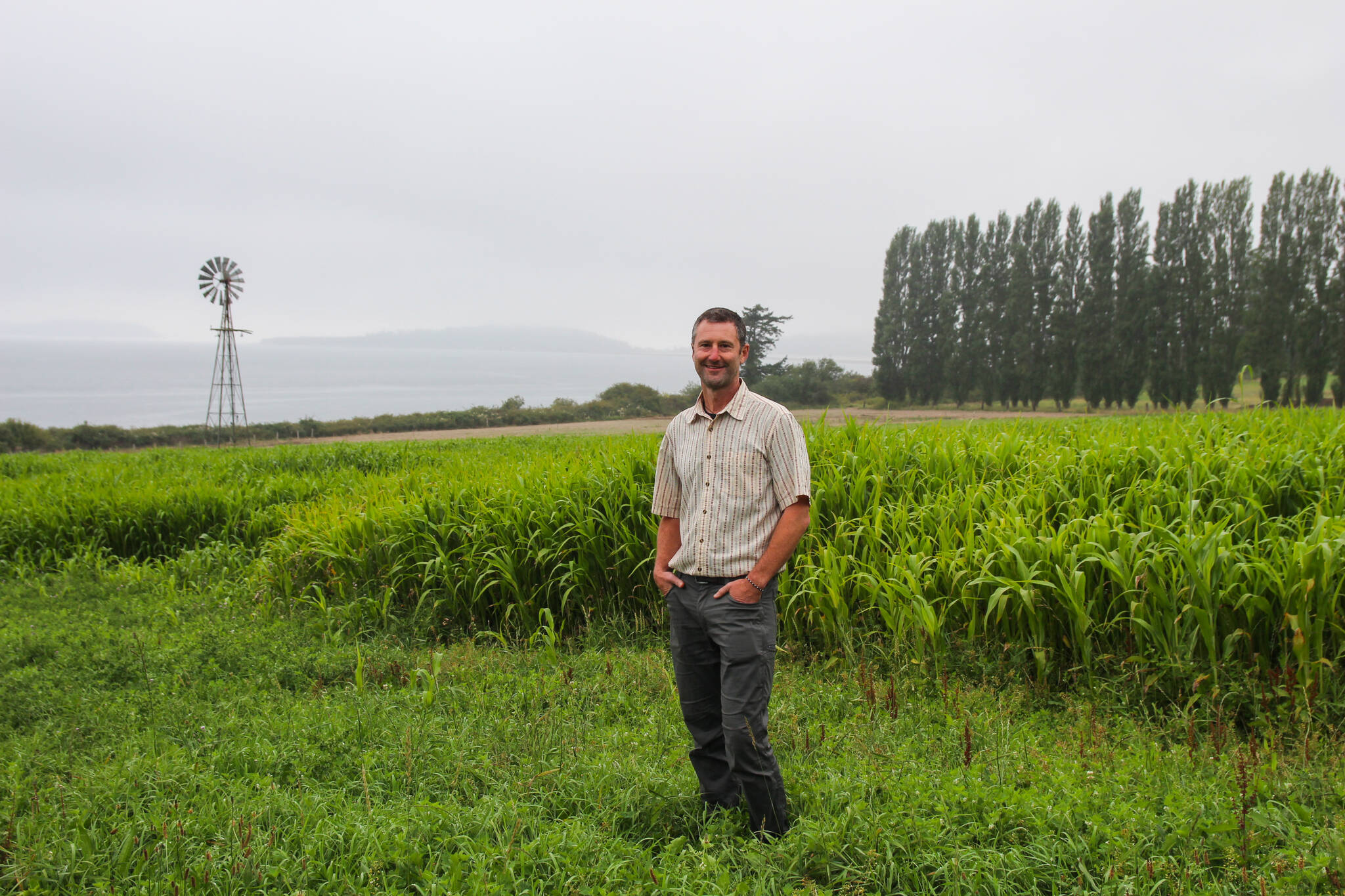 Photo by Luisa Loi
Ryan Elting poses in front of cover crops planted by the Organic Farm School. These plants will help restore the soil quality on land previously occupied by cows, he said.