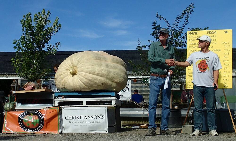 At left, Lee Roof shakes hands with former giant pumpkin world champion Joel Holland after winning the Skagit Valley Giant Pumpkin Festival on Sept. 21. (Photo by Dawn Mercer)