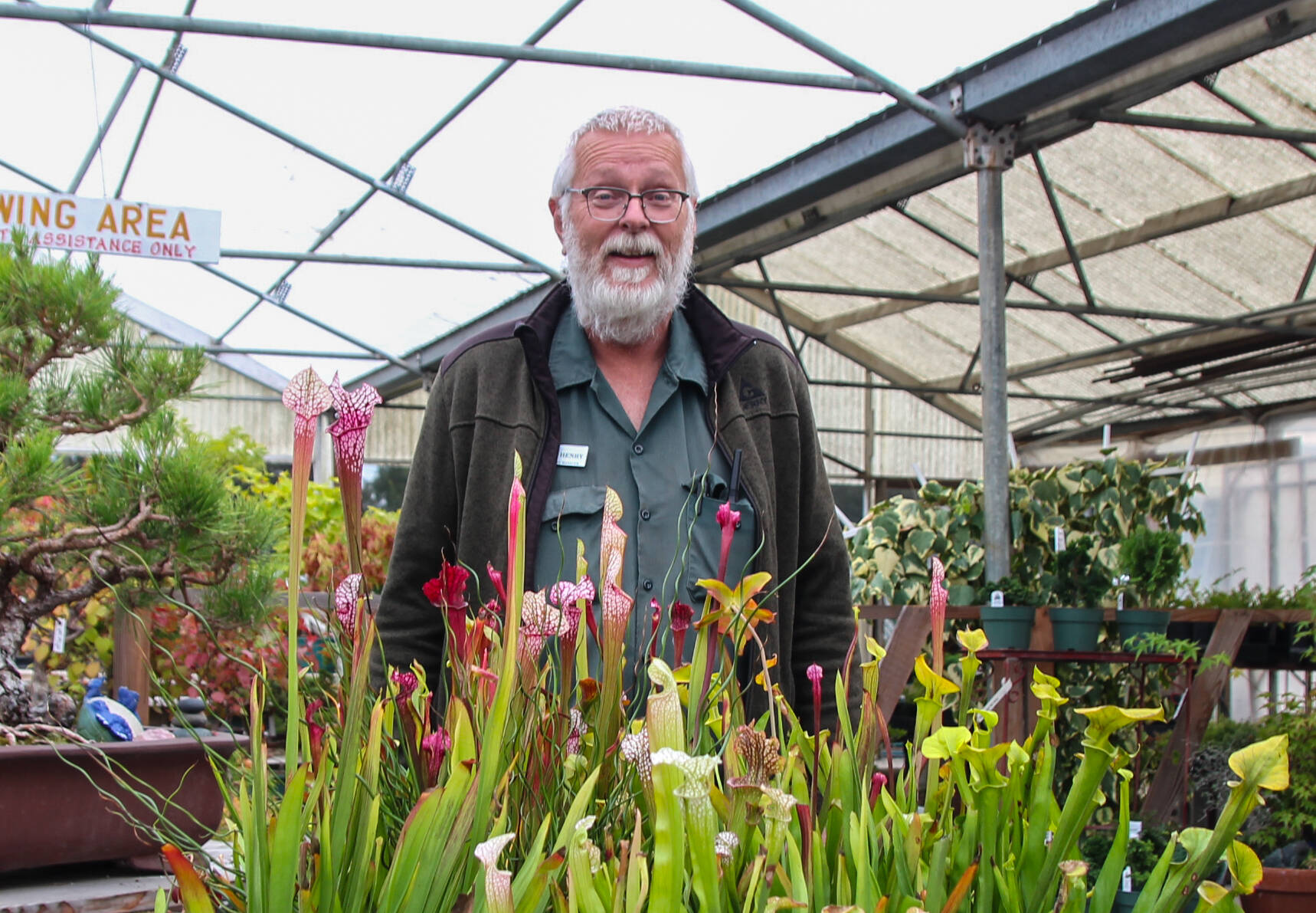 Photo by Luisa Loi
A variety of carnivorous plants, large and small, can be found at the Greenhouse Florist & Nursery.