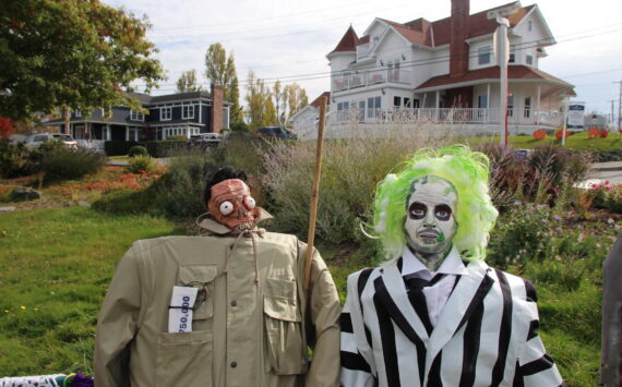 Photo by Luisa Loi
Harry the Hunter and Beetlejuice sit at Cooks Corner Park as part of the Coupeville Garden Club's display.