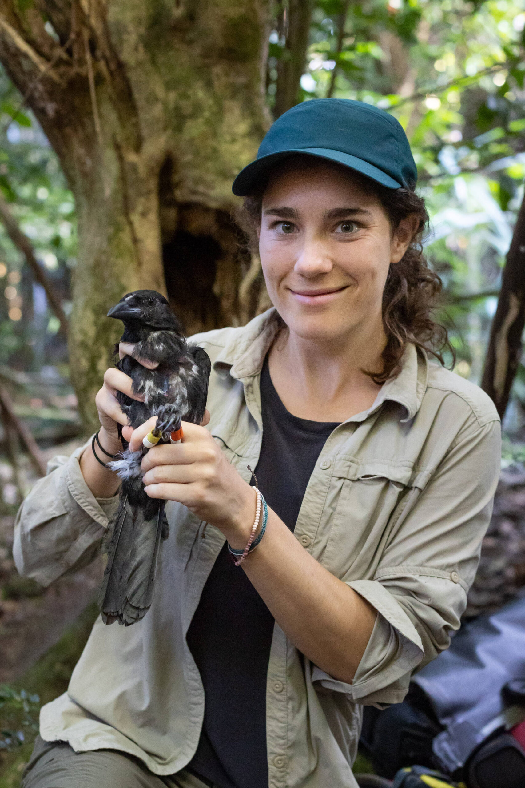 (Photo provided) Kaeli Swift holds a corvid.