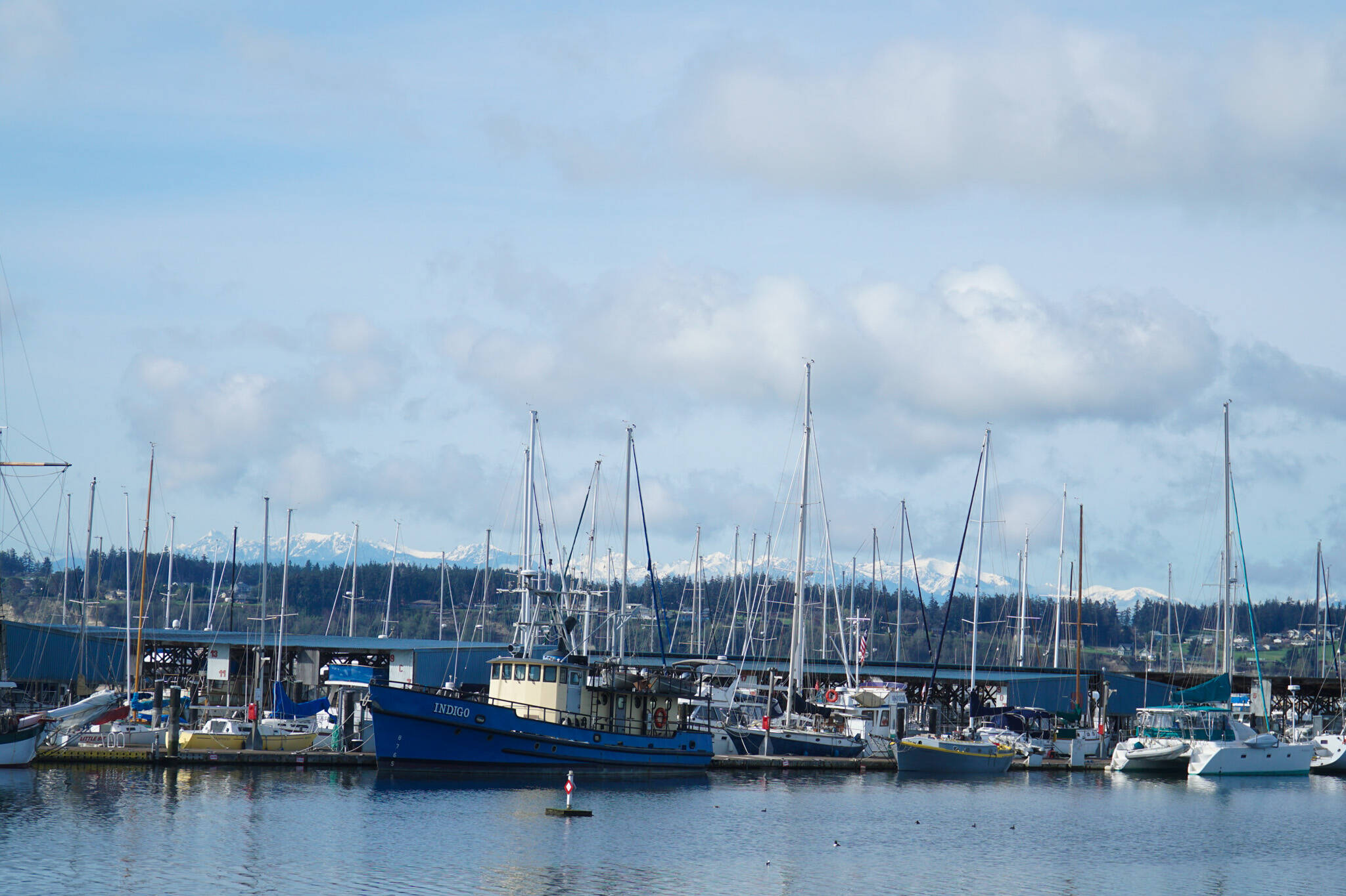 Photo by Sam Fletcher
The 50-year-old Oak Harbor Marina has been the center of many recent debates on its assets and liabilities.