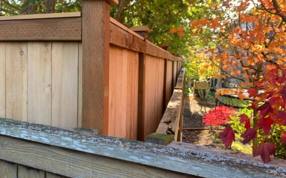 The mayor’s fence, which violates city code, runs alongside another fence compliant with city code.
Photo provided