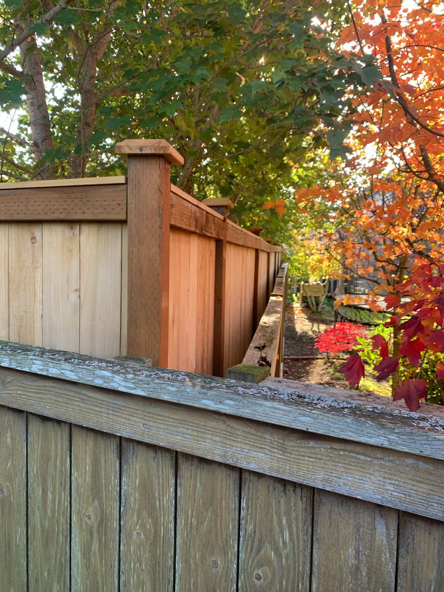 The mayor’s fence, which violates city code, runs alongside another fence compliant with city code.
Photo provided