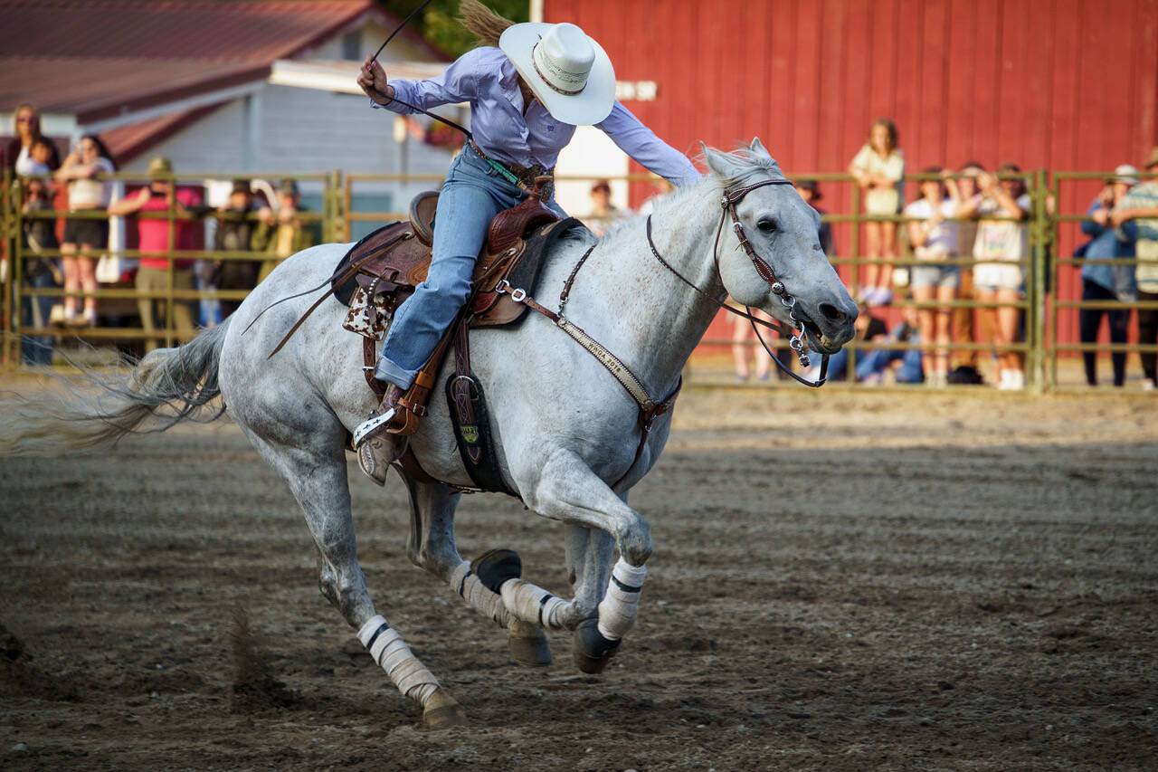 (Photo by David Welton)
Jocelyn Nichols galloped around the ring at high speed in July. A new feature of the Whidbey Island Fair, adults and kids competed in seven different rodeo events this year.